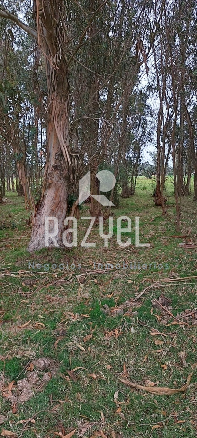 Chacra ID.634 - Venta de Chacra con Casa y Galpon en Caminos Los Ceibos