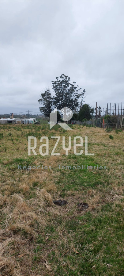 Chacra ID.634 - Venta de Chacra con Casa y Galpon en Caminos Los Ceibos