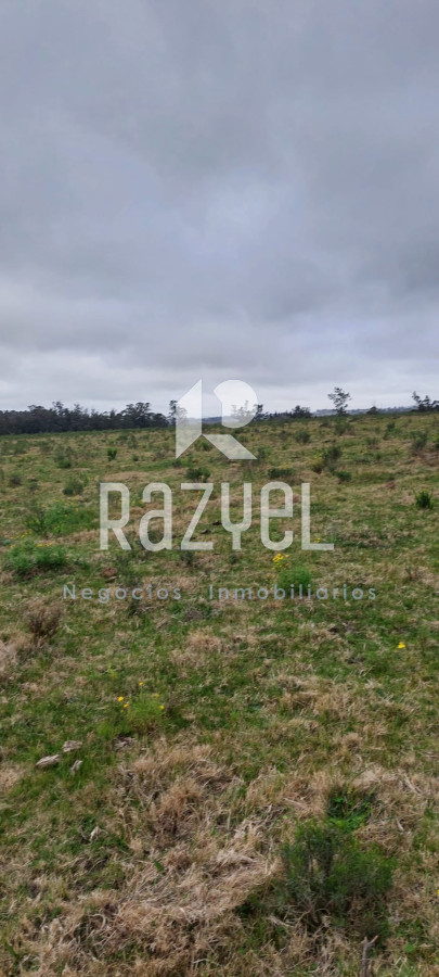 Chacra ID.634 - Venta de Chacra con Casa y Galpon en Caminos Los Ceibos