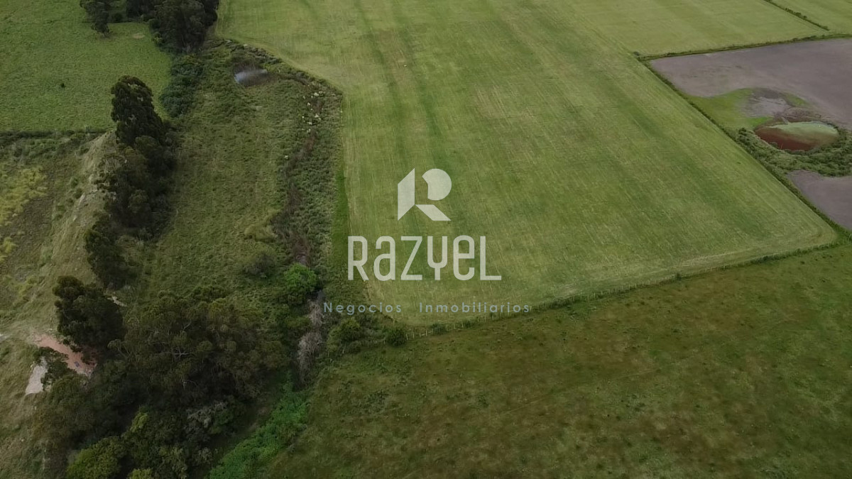 Chacra ID.1249 - Venta de Chacra 5 hectáreas Los Ceibos  ruta 39 .Departamento de Maldonado