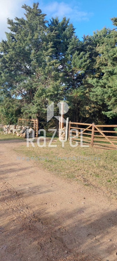 Chacra ID.610 - Venta de Chacra con casa en Eden  Ruta 12 . 