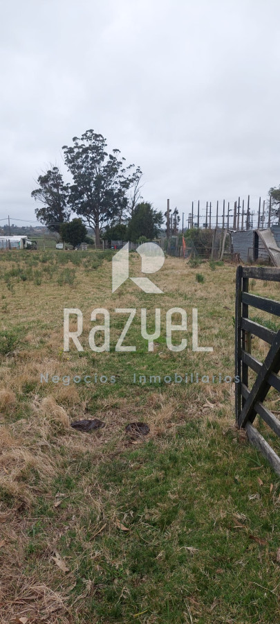 Chacra ID.634 - Venta de Chacra con Casa y Galpon en Caminos Los Ceibos