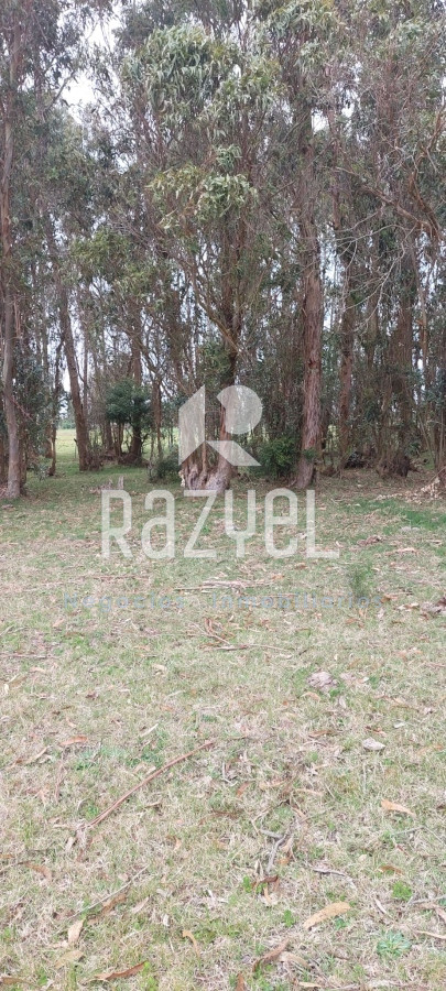 Chacra ID.634 - Venta de Chacra con Casa y Galpon en Caminos Los Ceibos