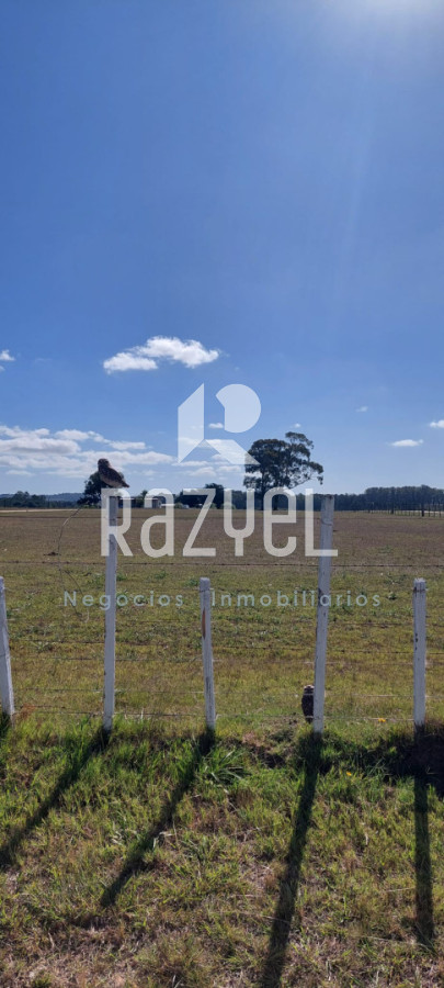 Chacra ID.1249 - Venta de Chacra 5 hectáreas Los Ceibos  ruta 39 .Departamento de Maldonado