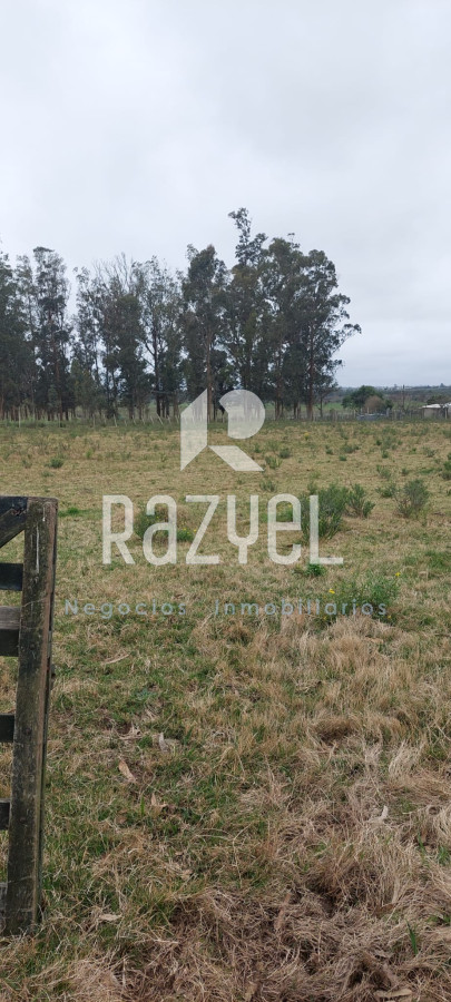 Chacra ID.634 - Venta de Chacra con Casa y Galpon en Caminos Los Ceibos