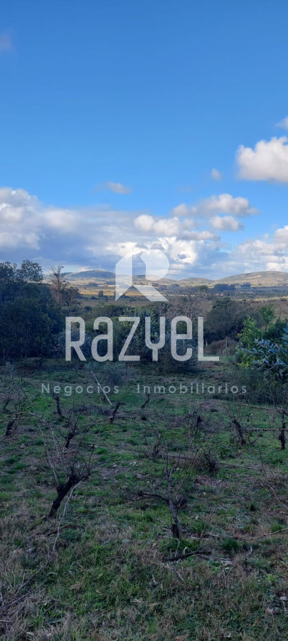 Chacra ID.610 - Venta de Chacra con casa en Eden  Ruta 12 . 