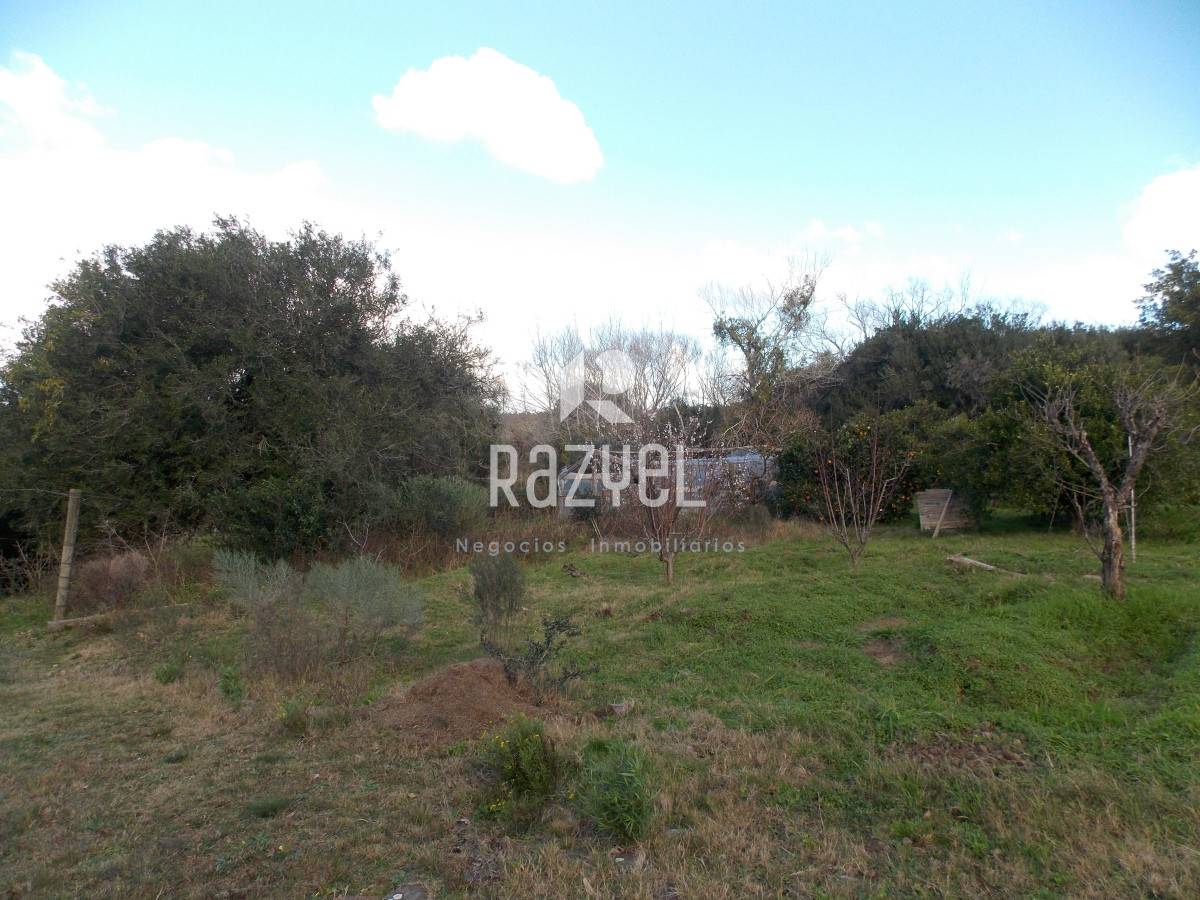 Chacra ID.610 - Venta de Chacra con casa en Eden  Ruta 12 . 