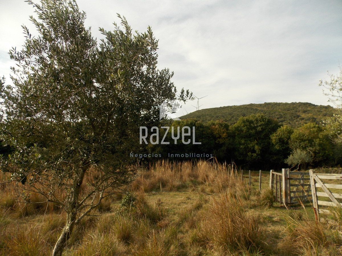 Chacra ID.1084 - Venta de Chacra 8 Hectareas Sierra los Caracoles 