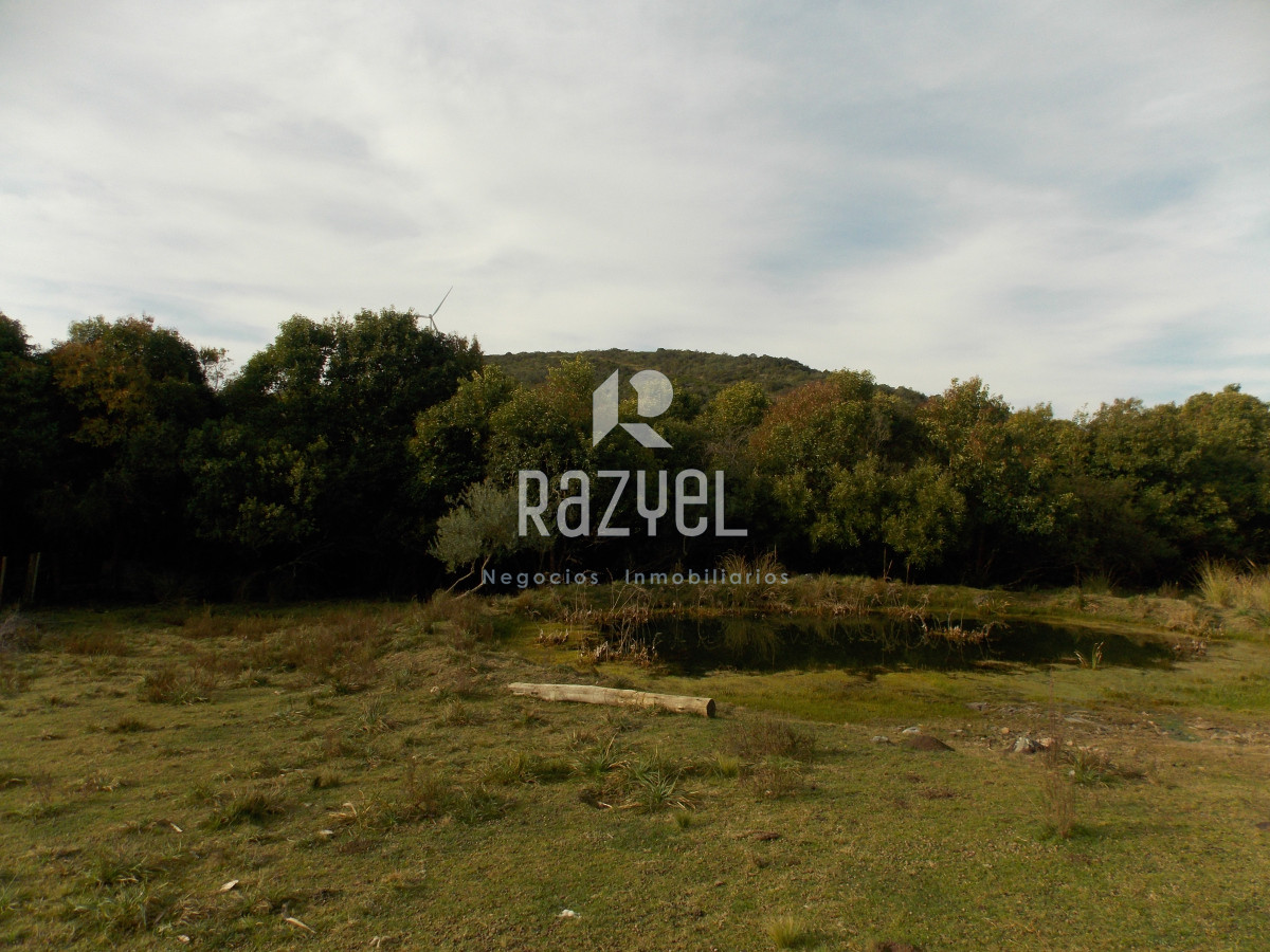 Chacra ID.1084 - Venta de Chacra 8 Hectareas Sierra los Caracoles 