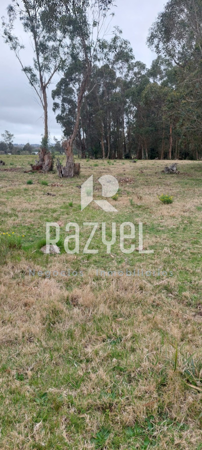 Chacra ID.634 - Venta de Chacra con Casa y Galpon en Caminos Los Ceibos