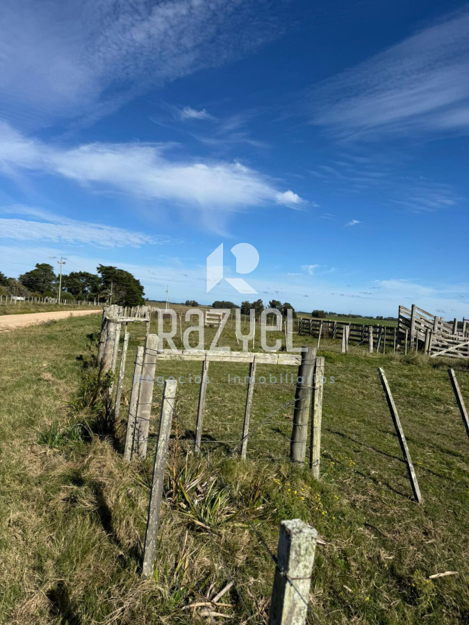 Chacra ID.498 - Chacra de  21 hectáreas José Ignacio  