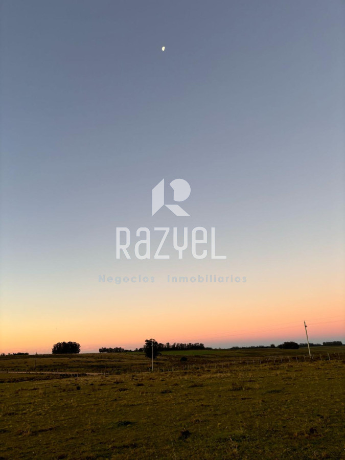 Chacra ID.498 - Chacra de  21 hectáreas José Ignacio  