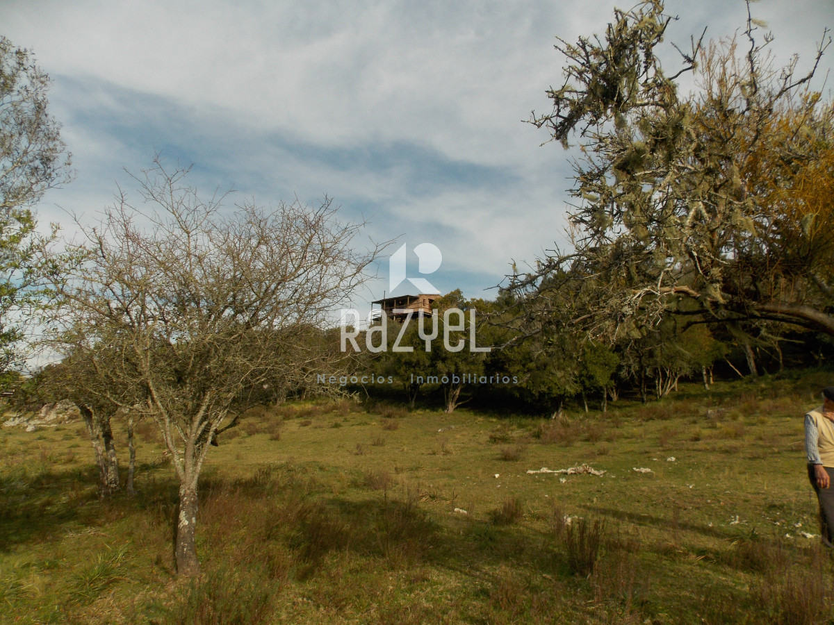 Chacra ID.1084 - Venta de Chacra 8 Hectareas Sierra los Caracoles 