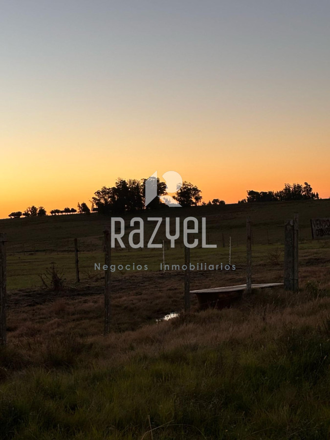 Chacra ID.498 - Chacra de  21 hectáreas José Ignacio  