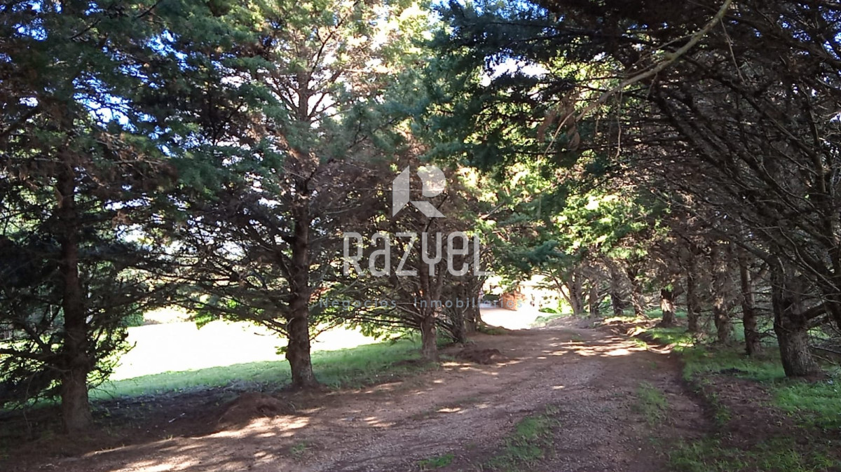 Chacra ID.610 - Venta de Chacra con casa en Eden  Ruta 12 . 