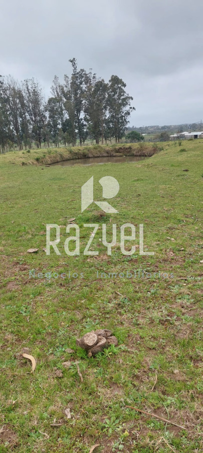 Chacra ID.634 - Venta de Chacra con Casa y Galpon en Caminos Los Ceibos