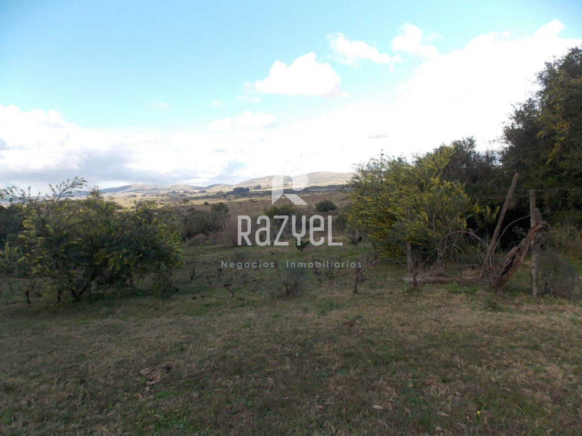 Chacra ID.610 - Venta de Chacra con casa en Eden  Ruta 12 . 