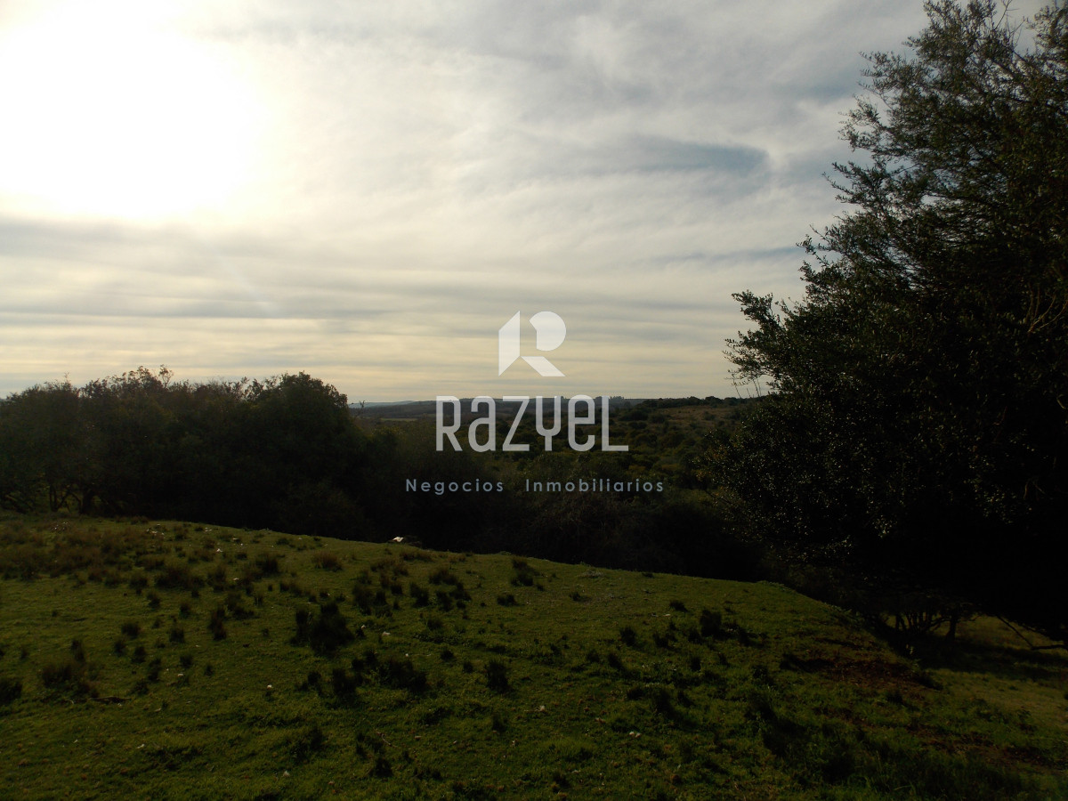 Chacra ID.1084 - Venta de Chacra 8 Hectareas Sierra los Caracoles 