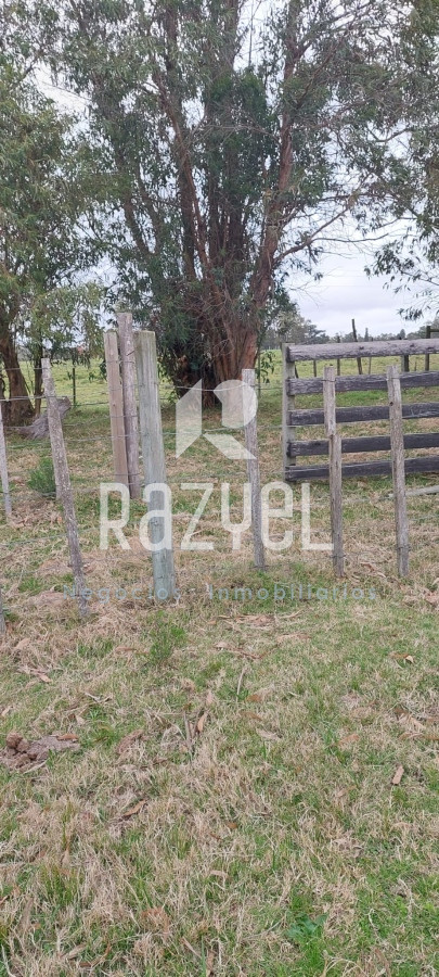 Chacra ID.634 - Venta de Chacra con Casa y Galpon en Caminos Los Ceibos