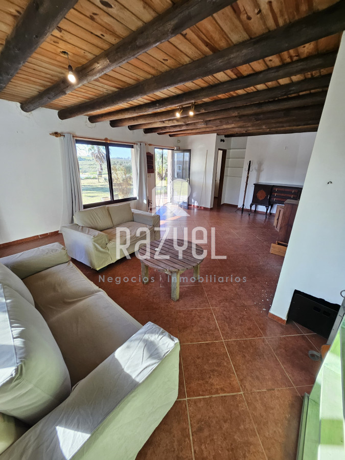 Chacra ID.1013 - Chacra en alquiler anual 2,8ha. Casa nueva, piscina , parrillero.