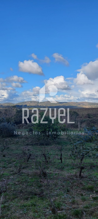 Chacra ID.610 - Venta de Chacra con casa en Eden  Ruta 12 . 