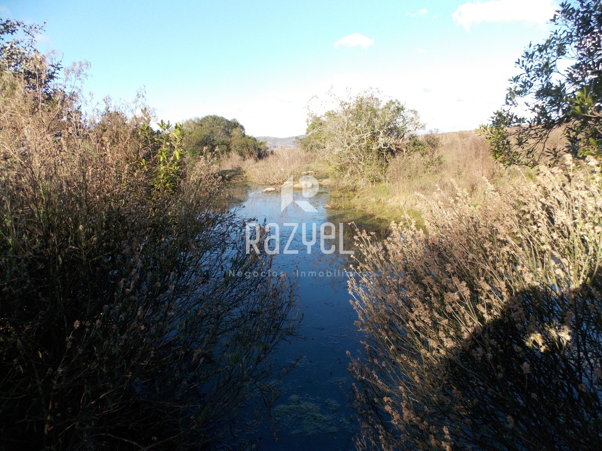 Chacra ID.635 - Venta de Chacra en zona Ruta 12 con casa Principal y casa de Huespedes