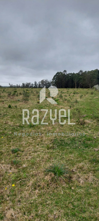 Chacra ID.634 - Venta de Chacra con Casa y Galpon en Caminos Los Ceibos