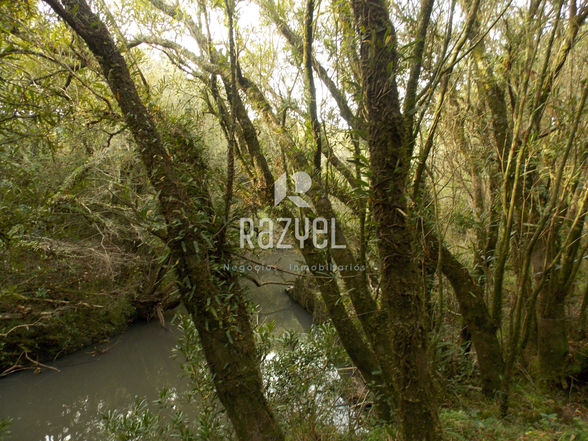 Chacra ID.1084 - Venta de Chacra 8 Hectareas Sierra los Caracoles 