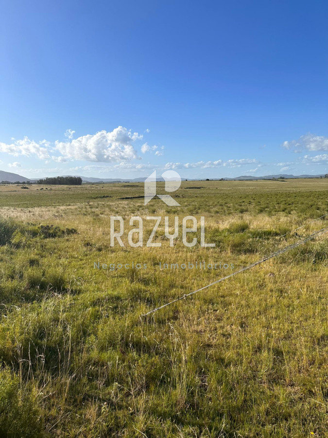 Chacra ID.499 - CHACRA DE 20 HECTAREAS