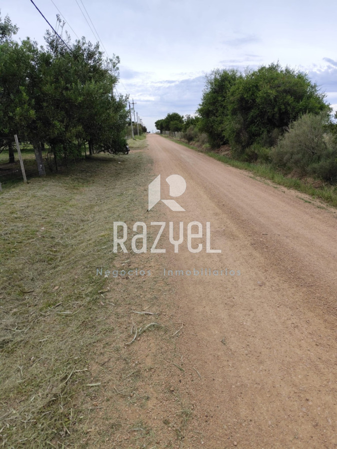 Chacra ID.1249 - Venta de Chacra 5 hectáreas Los Ceibos  ruta 39 .Departamento de Maldonado