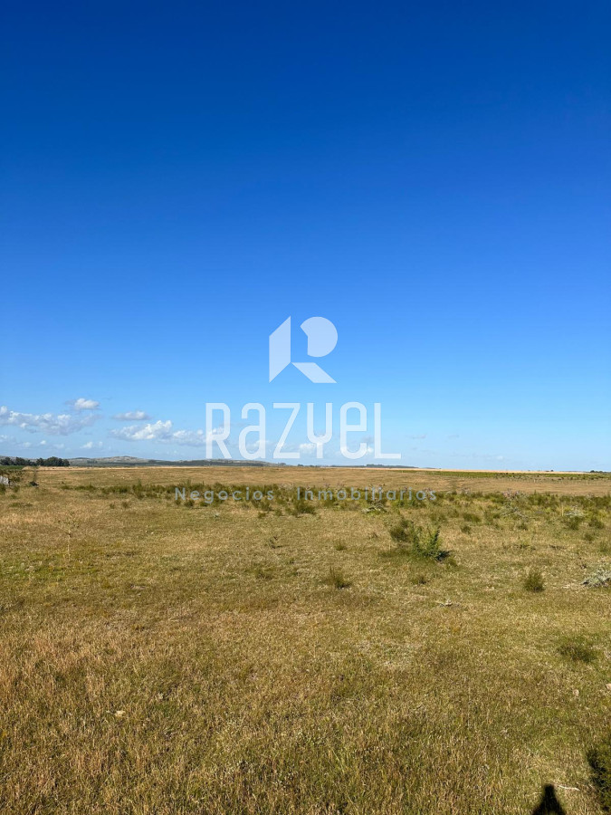 Chacra ID.499 - CHACRA DE 20 HECTAREAS