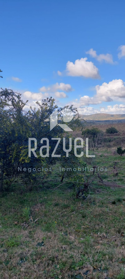 Chacra ID.610 - Venta de Chacra con casa en Eden  Ruta 12 . 