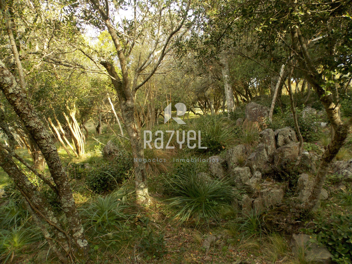 Chacra ID.1084 - Venta de Chacra 8 Hectareas Sierra los Caracoles 