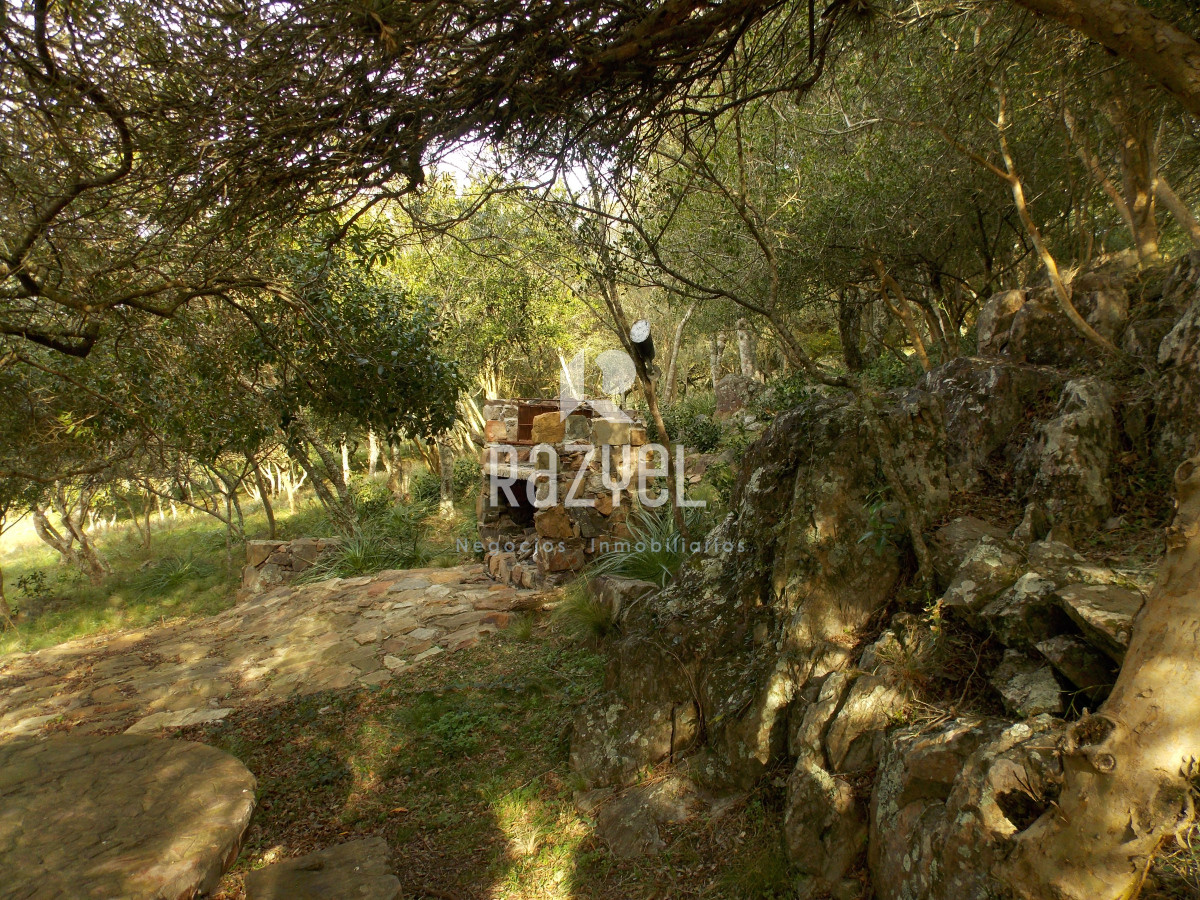 Chacra ID.1084 - Venta de Chacra 8 Hectareas Sierra los Caracoles 