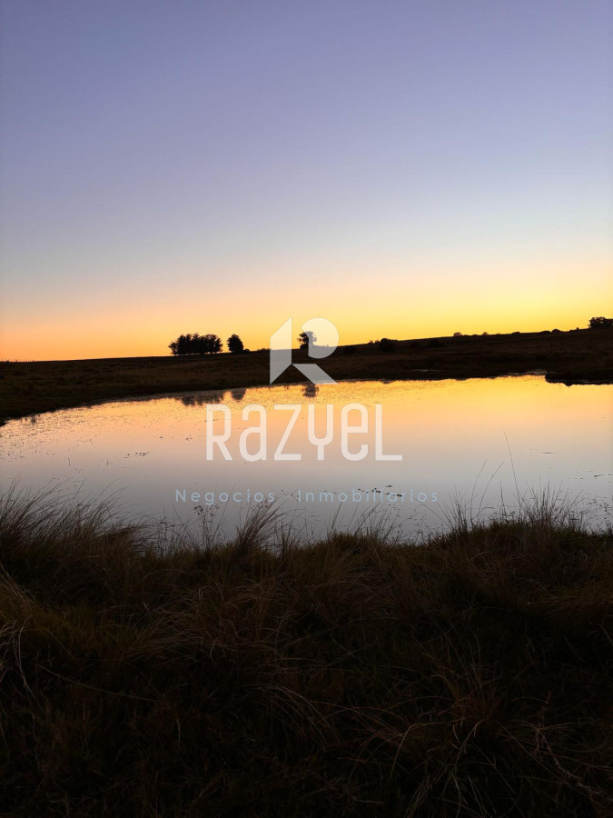 Chacra ID.498 - Chacra de  21 hectáreas José Ignacio  