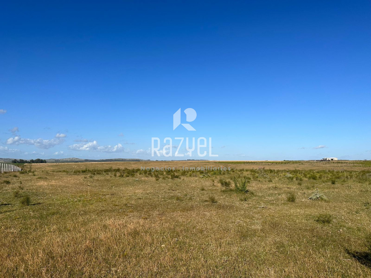 Chacra ID.499 - CHACRA DE 20 HECTAREAS