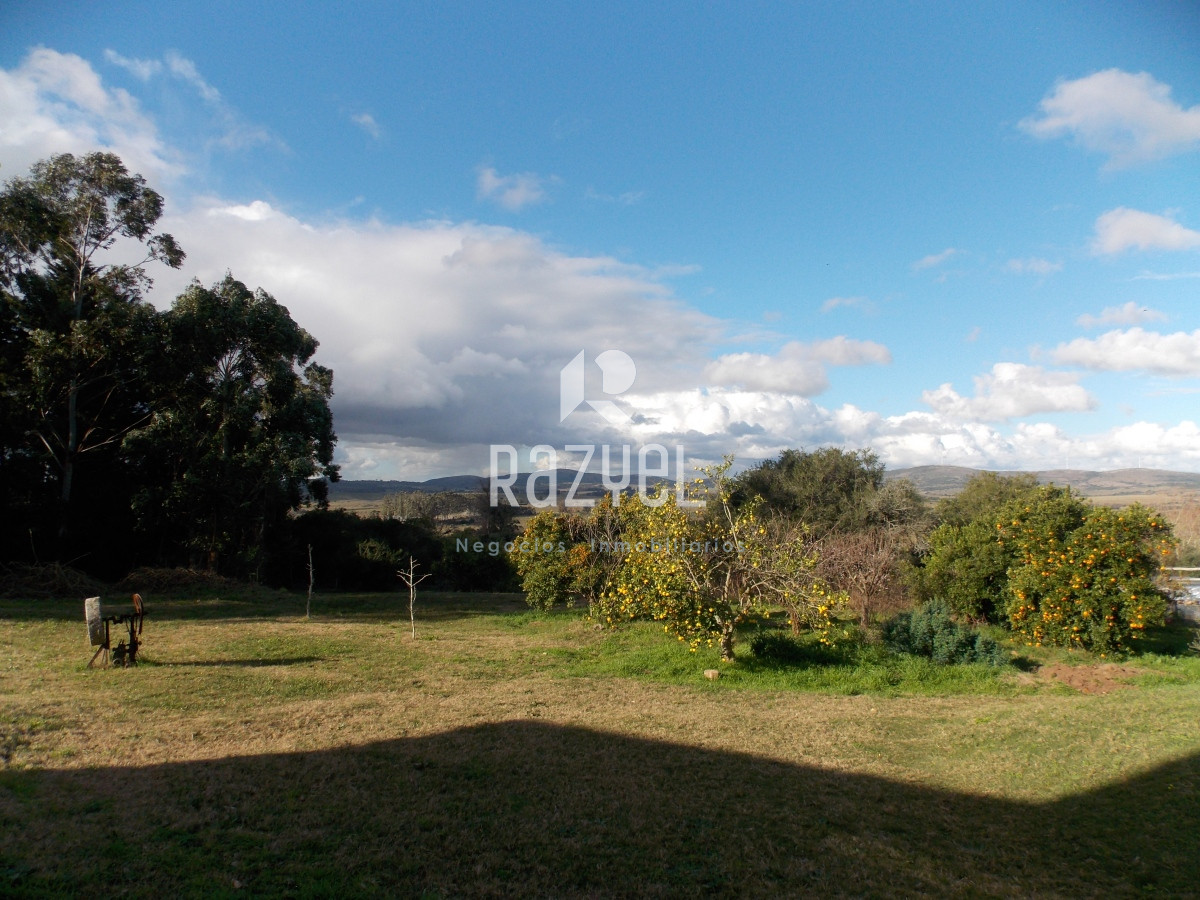 Chacra ID.635 - Venta de Chacra en zona Ruta 12 con casa Principal y casa de Huespedes