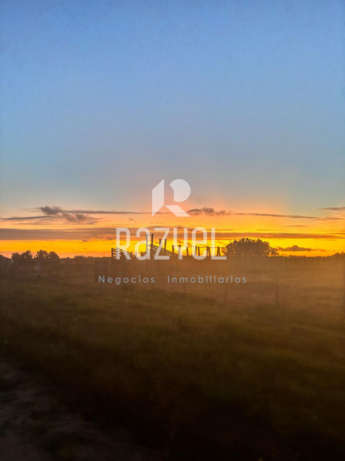 Chacra ID.498 - Chacra de  21 hectáreas José Ignacio  