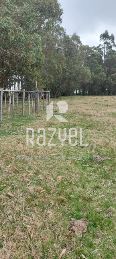 Chacra ID.634 - Venta de Chacra con Casa y Galpon en Caminos Los Ceibos