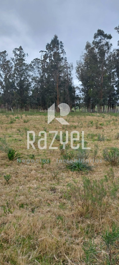 Chacra ID.634 - Venta de Chacra con Casa y Galpon en Caminos Los Ceibos