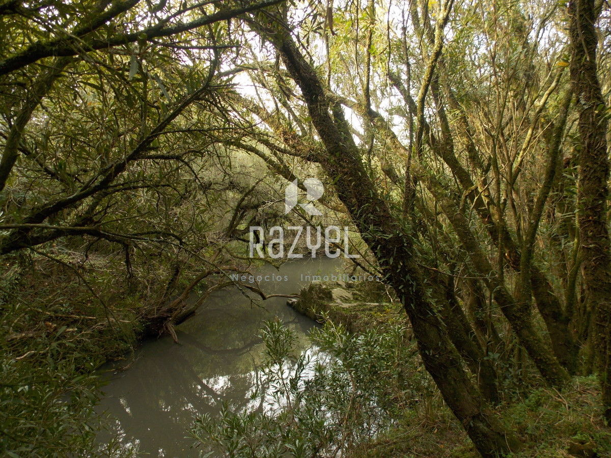 Chacra ID.1084 - Venta de Chacra 8 Hectareas Sierra los Caracoles 