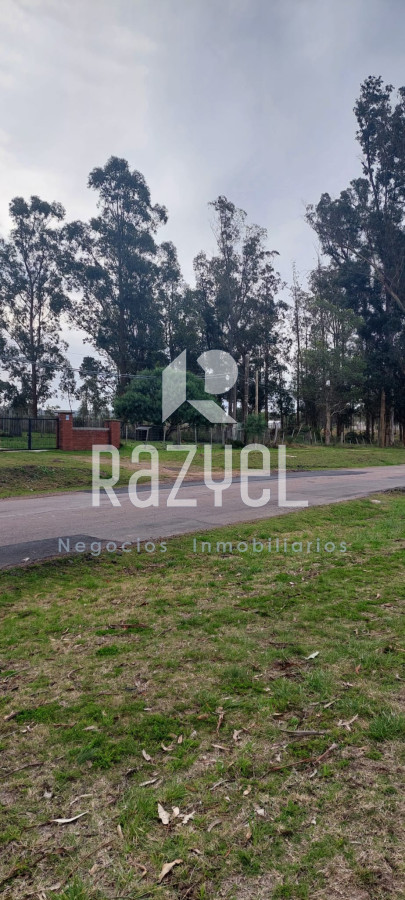 Chacra ID.634 - Venta de Chacra con Casa y Galpon en Caminos Los Ceibos