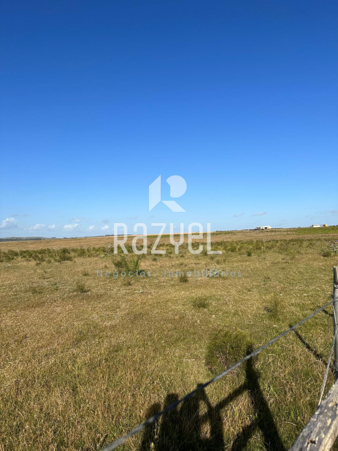 Chacra ID.499 - CHACRA DE 20 HECTAREAS