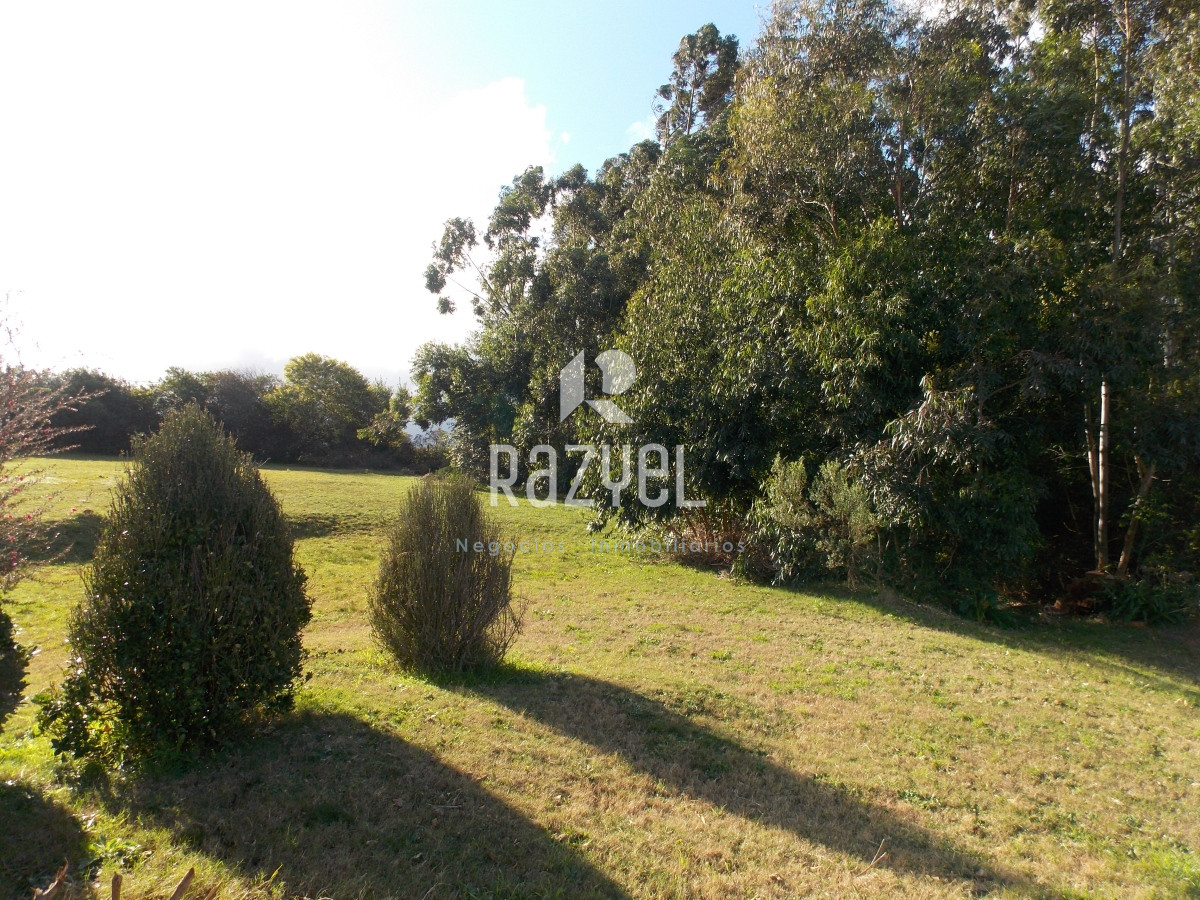 Chacra ID.610 - Venta de Chacra con casa en Eden  Ruta 12 . 