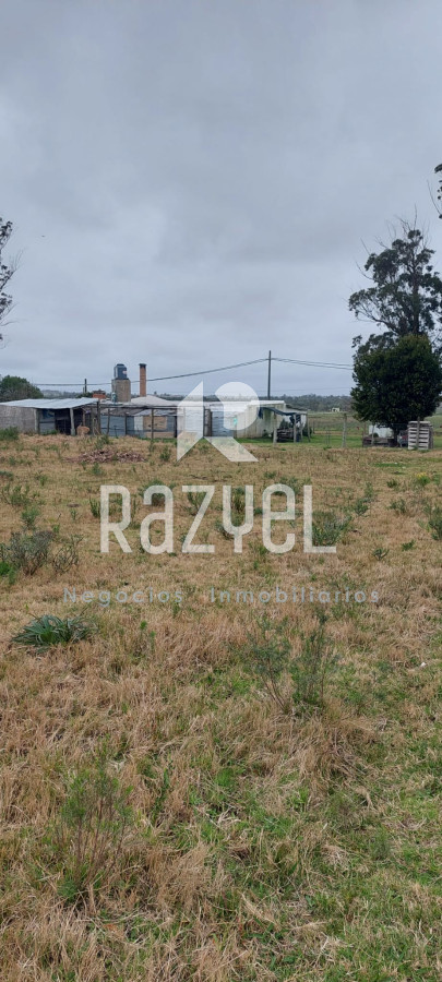 Chacra ID.634 - Venta de Chacra con Casa y Galpon en Caminos Los Ceibos