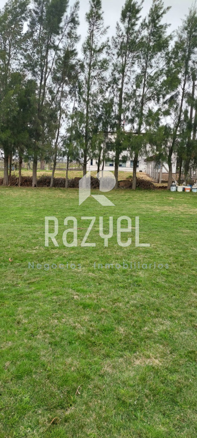 Chacra ID.634 - Venta de Chacra con Casa y Galpon en Caminos Los Ceibos