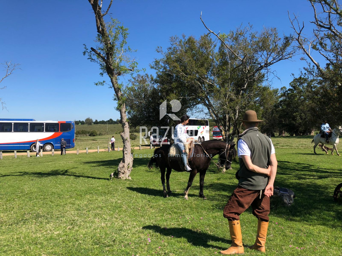 Chacra ID.997 - Chacra de 20 hectáreas con vertiente de agua mineral y 1000 m² construidos 
