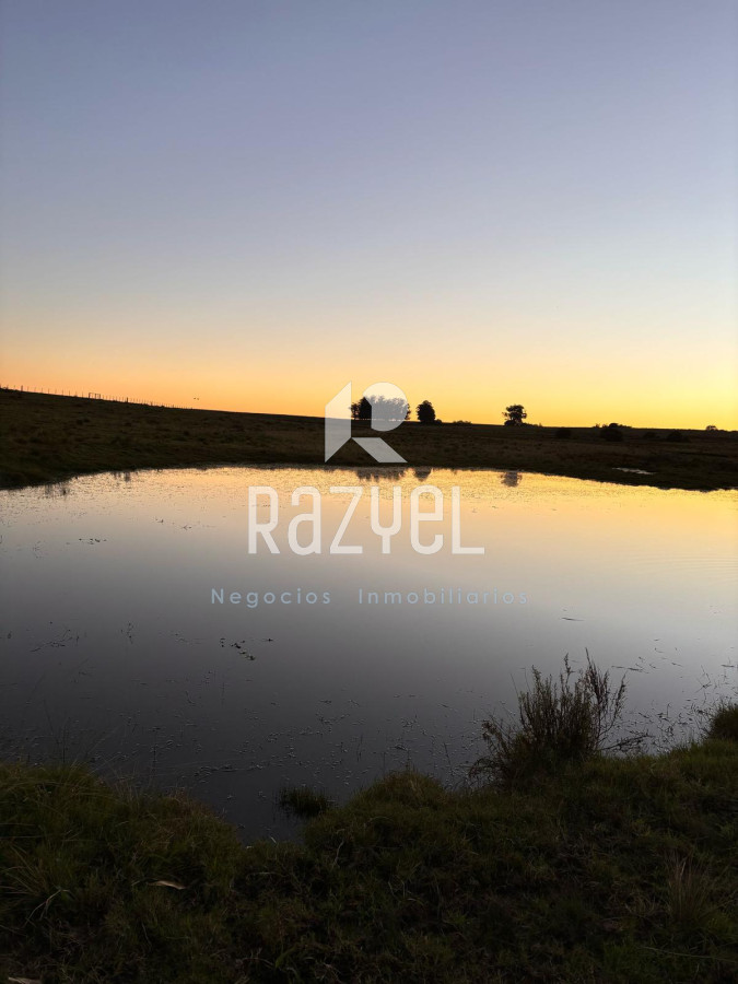 Chacra ID.498 - Chacra de  21 hectáreas José Ignacio  