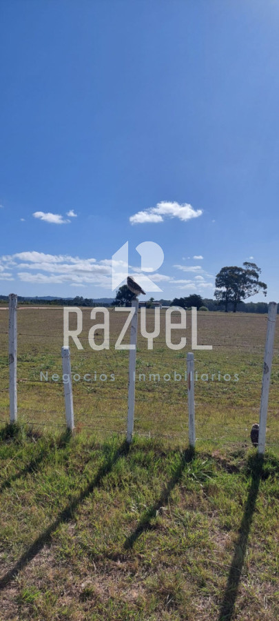 Chacra ID.1249 - Venta de Chacra 5 hectáreas Los Ceibos  ruta 39 .Departamento de Maldonado