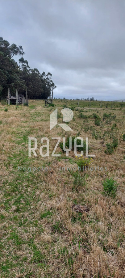 Chacra ID.634 - Venta de Chacra con Casa y Galpon en Caminos Los Ceibos